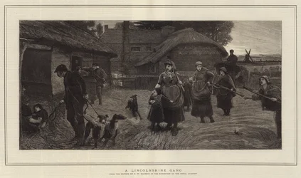 Um bando de lincolnshire